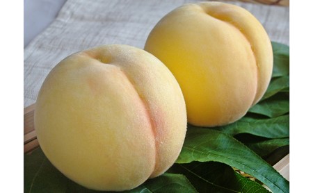 赤磐市産 黄金桃 約3.0kg 9~12玉