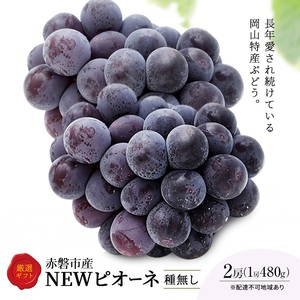 ぶどう 2026年 先行予約 ピオーネ 2房 1房約480g 化粧箱入り 岡山県 赤磐市産 果物 フルーツ 葡萄 ブドウ