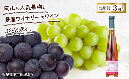 定期便 2026年 先行予約 岡山の人気果物と是里ワイナリーのワイン ぶどう尽くし 3回コース ぶどう ピオーネ ワイン シャインマスカット 晴王 赤磐市