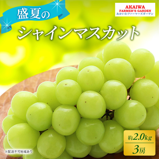 ぶどう 2026年 先行予約 シャインマスカット 約2.0kg 3房 盛夏 葡萄 岡山県 赤磐市産 フルーツ 果物 あかいわファーマーズガーデン 果物類
