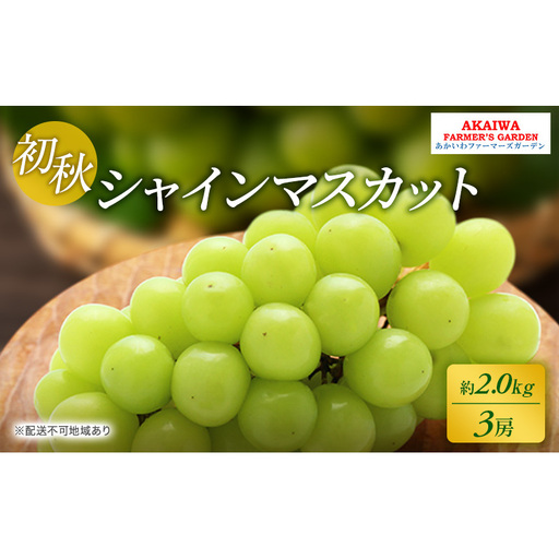 ぶどう 2026年 先行予約 シャインマスカット 約2.0kg 3房 初秋 葡萄 岡山県 赤磐市産 フルーツ 果物 あかいわファーマーズガーデン 果物類