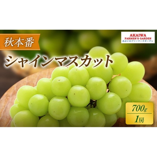 ぶどう 2026年 先行予約 シャインマスカット 約700g 1房 秋本番 葡萄 岡山県 赤磐市産 フルーツ 果物 果物類