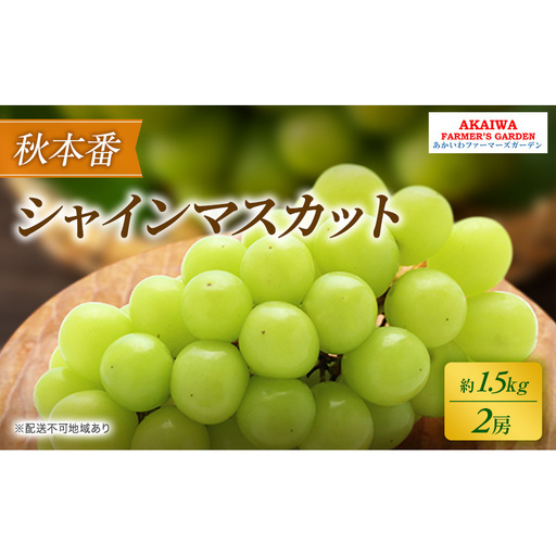 ぶどう 2026年 先行予約 シャインマスカット 約1.5kg 2房 秋本番 葡萄 岡山県 赤磐市産 フルーツ 果物 果物類