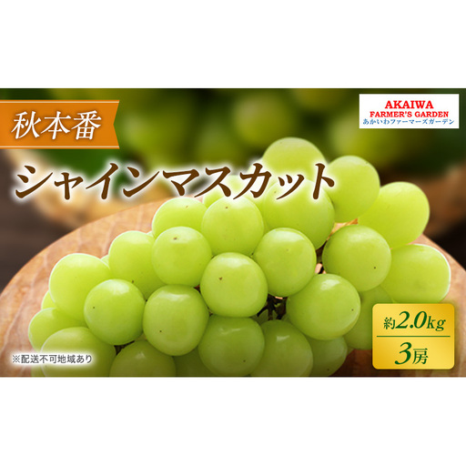 ぶどう 2026年 先行予約 シャインマスカット 約2.0kg 3房 秋本番 葡萄 岡山県 赤磐市産 フルーツ 果物 果物類