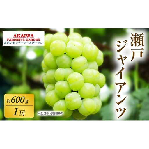 ぶどう 2026年 先行予約 瀬戸ジャイアンツ 約600g 1房 葡萄 岡山県 赤磐市産 フルーツ 果物 あかいわファーマーズガーデン