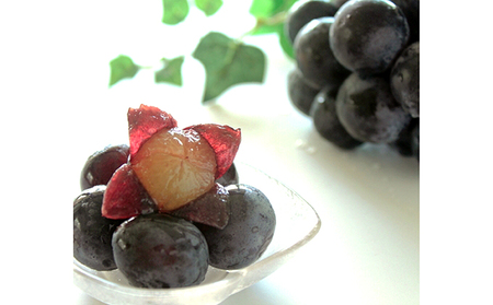 ぶどう 2026年 先行予約 ニューピオーネ 約600g 1房 葡萄 岡山県 赤磐市産 フルーツ 果物 あかいわファーマーズガーデン