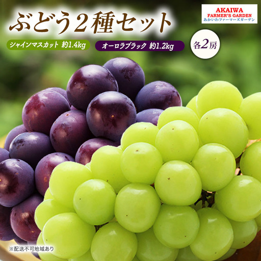 ぶどう 2026年 先行予約 シャインマスカット 約1.4kg 2房 オーロラブラック 約1.2kg 2房 葡萄 岡山県 赤磐市産 フルーツ 果物