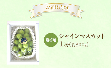 ぶどう 2026年 先行受付 贈答用 シャインマスカット 1房 約800g フルーツ 果物 岡山 赤磐市