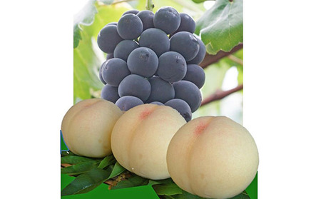 赤磐市産 清水白桃 3玉/ピオーネ 1房 約1.5kg