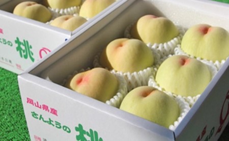 農マル園芸あかいわ農園 赤磐市産 おかやま夢白桃 約2kg(5~6玉)ご家庭用