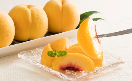 桃茂実苑 岡山黄金桃 1.5kg