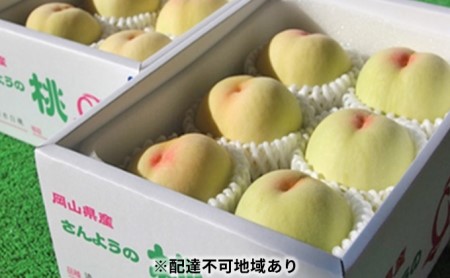 ●先行予約受付●農マル園芸あかいわ農園 赤磐市産 清水 白桃 約2kg(5~6玉)ご家庭用