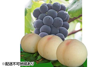 ●先行予約受付●赤磐市産 清水 白桃 3玉/ ピオーネ 1房 約1.5kg