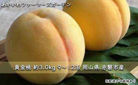 桃 2024年 先行予約 黄金 桃 約3.0kg 9～12玉 もも 岡山県 赤磐市産 フルーツ 果物 あかいわファーマーズガーデン