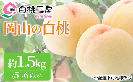 桃 2024年 先行予約 白桃 1.5kg 5～6玉 もも モモ 岡山 国産 フルーツ 果物 ギフト 桃茂実苑 