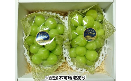 ●先行予約受付●農マル園芸あかいわ農園 シャインマスカット 2房(1房600g~700g) 贈答箱