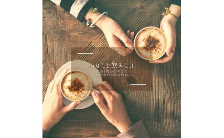 自家焙煎 コーヒー 桃仙ブレンド 500g トーアコーヒー商会 ブレンドコーヒー 焙煎 珈琲 飲料類 中挽き