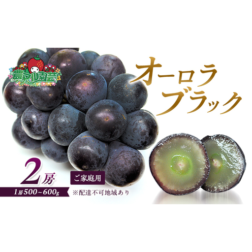 ぶどう 2026年 先行予約 オーロラブラック 2房 1房 500g~600g ご家庭用 ブドウ 葡萄 フルーツ 果物 岡山 赤磐市産 農マル園芸 あかいわ農園 種なし 大粒 高糖度