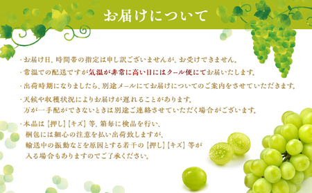 ぶどう 2026年 先行予約 シャイン マスカット 1房 マスカット ジパング 1房 各約700g 詰合せ 贈答箱 ブドウ 葡萄 フルーツ 果物 岡山 赤磐市産 農マル園芸 あかいわ農園 