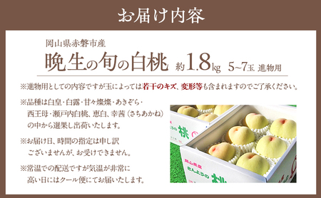 固めの 桃 2026年 先行予約 晩生の旬の 白桃 約1.8kg 5～7玉 進物用 もも モモ フルーツ 果物 岡山 赤磐市産 農マル園芸 あかいわ農園 家庭用 白皇 白露 甘々燦燦 あきぞら 西王母 瀬戸内白桃 