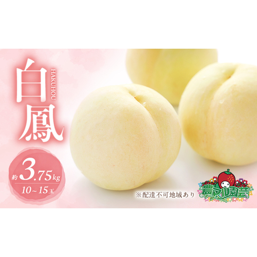 桃 2026年 先行予約 白桃 白鳳 約3.75kg 10～15玉 進物用 もも モモ フルーツ 果物 岡山 赤磐市産 農マル園芸 あかいわ農園 家庭用