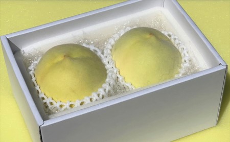 桃 2026年 先行予約 白桃 冬美白 とうびはく 2玉 1玉約350g もも モモ 令和7年 岡山 赤磐市産 国産 フルーツ 果物 ギフト 果肉 しっかり 柔らかい 食感 大変貴重 高糖度 栽培方法 