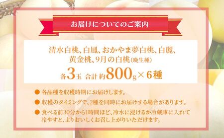 桃 2024年 先行予約 食べ比べ 各3玉 合計約800g×6種 もも 岡山県 赤磐