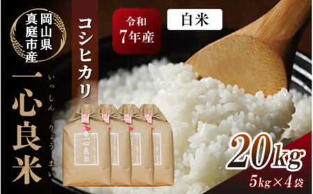 【令和7年産】 真庭市産コシヒカリ 牡蠣殻栽培 白米 20kg(5kg×4袋)  岡山県 【tkns013-01】 25,550円