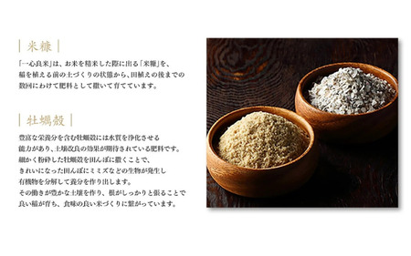 【令和7年産】 【6カ月定期便】 コシヒカリ 無洗米 牡蠣殻栽培 5kg×6回 岡山県 【takenaka030-02-tkb06】