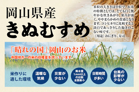 【2616-0382】[定期便／12ヶ月] 真庭市産きぬむすめ 白米 計60kg (5kg×12回) | 米 コメ お米 オコメ 岡山県産 白米 きぬむすめ