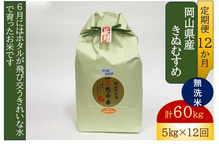 【2616-0261】真庭市産きぬむすめ 無洗米5kg×12回(定期便)