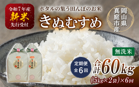定期便全6回＞ 令和7年産 新米 きぬむすめ 無洗米 10kg(5kg×2袋