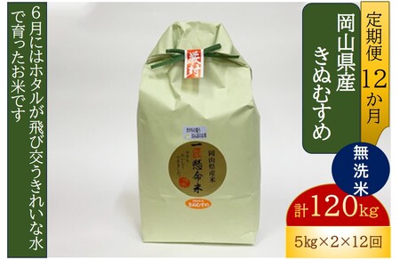 【2616-0395】[定期便／12ヶ月] 真庭市産きぬむすめ 無洗米 計120kg (5kg×2袋×12回) | 米 コメ お米 オコメ 岡山県産 無洗米 むせんまい きぬむすめ