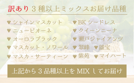 【2616-0326】[岡山県産] 花笑み農園のブドウ『訳あり3種以上MIX』1kg W3M-1