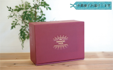 【2026年先行予約】ぶどう 岡山 花笑み農園『ニューピオーネ』約2kg（3～4房） hana06-2 2026年9月上旬～ 受付順に発送予定 【hana006-03】