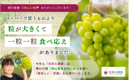 【2026年先行予約】ぶどう 岡山 花笑み農園 『シャインマスカット』約2kg（3～4房） 贈答用 岡山 真庭 シャインマスカット 真庭市 【hana016-02】