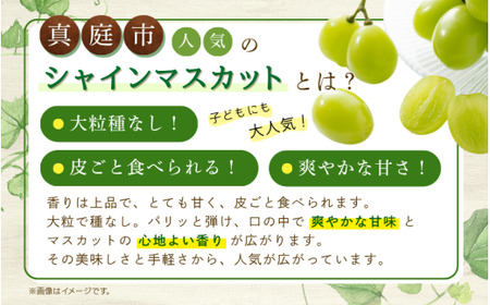 【2026年先行予約】 シャインマスカット 家庭用 約2kg(3~5房)花笑み農園 岡山 ぶどう 【hana061-02】