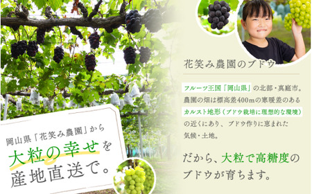 【2026年先行予約】 シャインマスカット 家庭用 約2kg(3~5房)花笑み農園 岡山 ぶどう 【hana061-02】