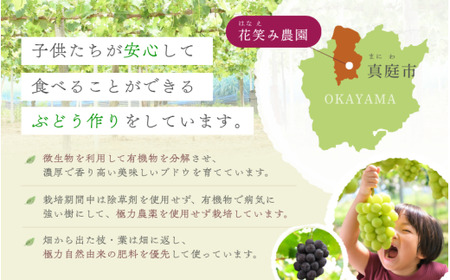 【2026年先行予約】 シャインマスカット 家庭用 約2kg(3~5房)花笑み農園 岡山 ぶどう 【hana061-02】