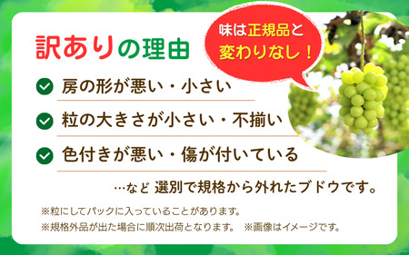 【2026年先行予約】訳あり シャインマスカット 1kg 花笑み農園 ぶどう 岡山 真庭市 【hana035-02】