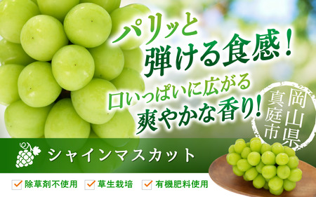 【2026年先行予約】訳あり シャインマスカット 1kg 花笑み農園 ぶどう 岡山 真庭市 【hana035-02】