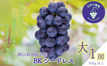 【2616-0445】岡山 花笑み農園『BKシードレス』700g以上(大1房) B-大1