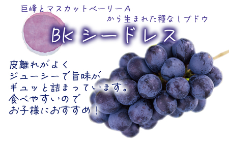 【2616-0445】岡山 花笑み農園『BKシードレス』700g以上(大1房) B-大1