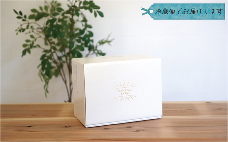 【2616-0445】岡山 花笑み農園『BKシードレス』700g以上(大1房) B-大1