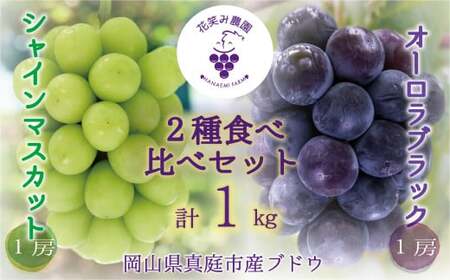 【2026年先行予約】岡山 花笑み農園の『シャインマスカット＆オーロラブラック』 1㎏（2房） 【hana067-02】