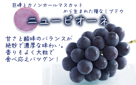 【2026年先行予約】 岡山 花笑み農園の『ニューピオーネ&BKシードレス』1kg(2房) 【hana026-02】