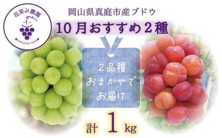 【2026年先行予約】 ぶどう 岡山 花笑み農園のぶどう【10月おすすめ 2種セット】1kg（2房） 真庭市【hana020-02】