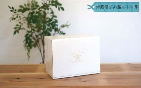 【2026年先行予約】 ぶどう 岡山 花笑み農園のぶどう【10月おすすめ 2種セット】1kg（2房） 真庭市【hana020-02】