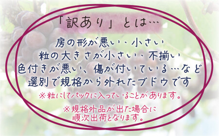 【2026年先行予約】 訳あり 花笑み農園の ぶどうおまかせ2種 (計1kg分お届け!) 岡山 【hana049-02】