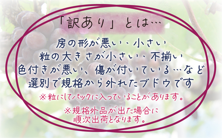 ＼2026年の先行予約です／ 花笑み農園 訳あり『ぶどう3種以上食べ比べセット』1kg 真庭市産 ぶどう 詰め合わせ W3M-1 【hana018-02】